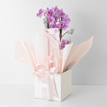 Orquidea P09 Phal 2h + Cachepô de Papel - Dia da Mulher 2026