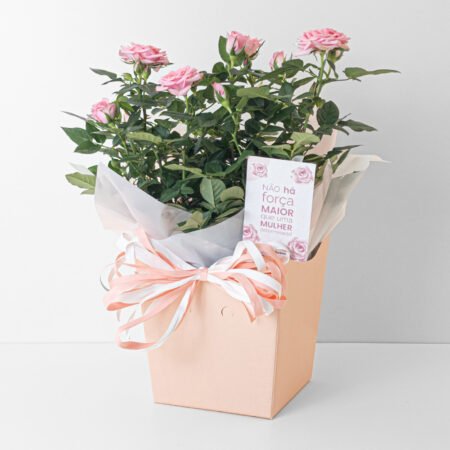 Mini Rosa P15 + Cachepô de Papel - Dia da Mulher 2026