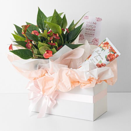 Cesta Antúrio P09 + Hidratante Mahogany - Dia da Mulher 2026