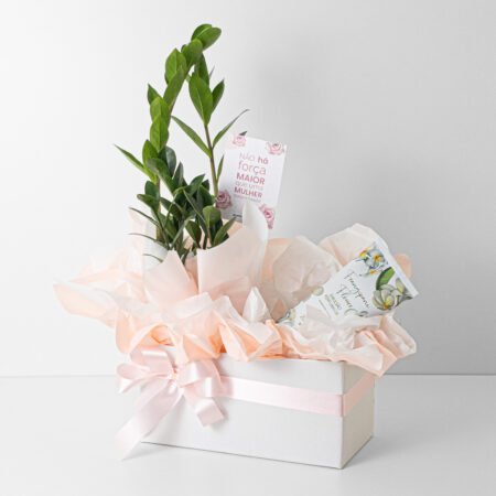 Cesta Zamioculca P09 + Hidratante Mahogany - Dia da Mulher 2026