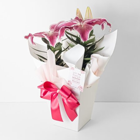 Lírio P16 Rosa + Cachepô de Papel - Dia da Mulher 2026