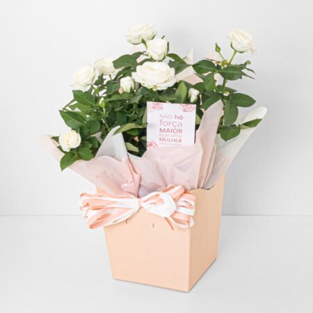 Mini Rosa P15 Branca + Cachepô de Papel - Dia da Mulher 2026