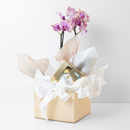 Box Orquidea P09 Phal 2H + Ferrero Rocher