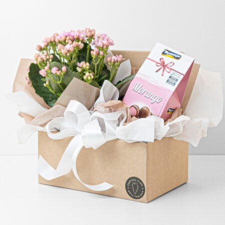 Cesta Kalanchoe P11 Variado + Bombom Morando 55g