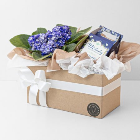 Cesta Violeta P11 + Chá 60g