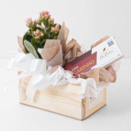 Cesta Kalanchoe P06 + Chocolate Di Pietro