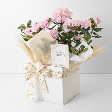 Azaleia P14 Rosa + Cachepô de Papel + Laço • Dia Das Mães 2026