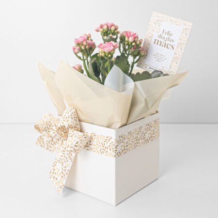 Kalanchoe P11 Rosa + Cachepô de Papel + Laço • Dia Das Mães 2026