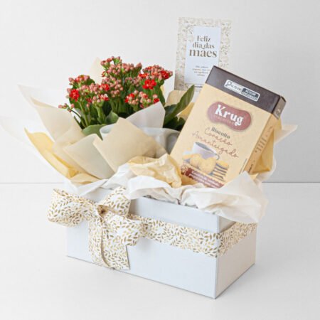 Cesta Kalanchoe P11 Vermelho + Biscoito Amanteigado • Dia Das Mães 2026