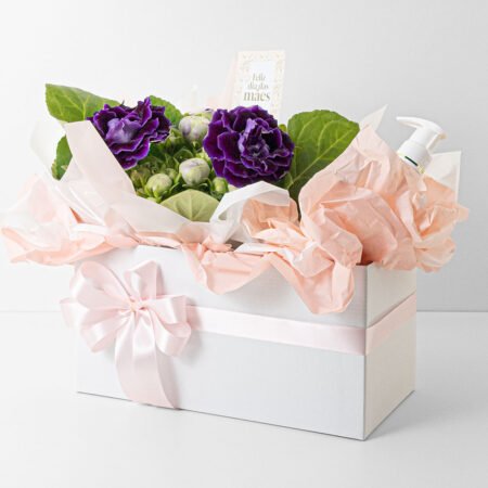 Cesta Gloxinia P15 + Hidratante Corporal • Dia Das Mães 2026