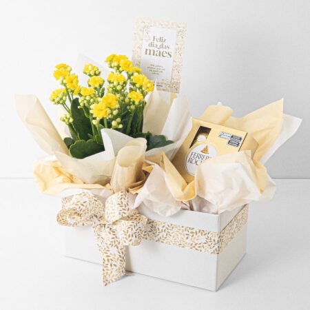 Cesta kalanchoe P11 + Ferrero Rocher • Dia Das Mães 2026