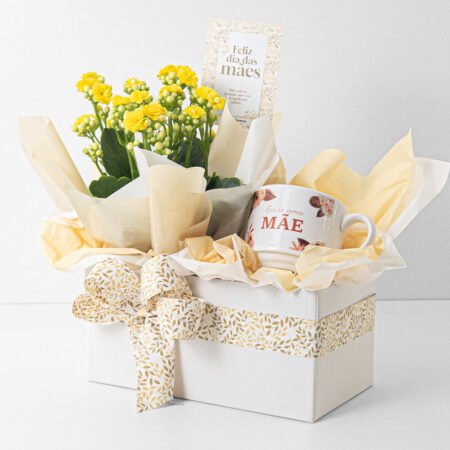 Cesta kalanchoe P11 + Caneca Especial • Dia Das Mães 2026