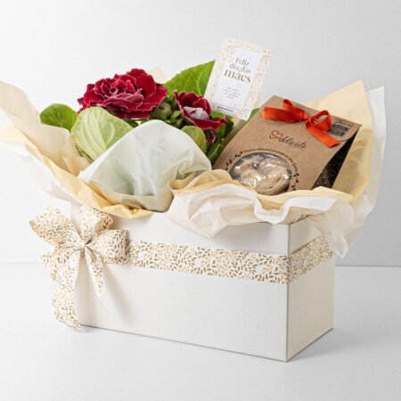 Cesta Gloxinia P15 + Biscoito • Dia Das Mães 2026