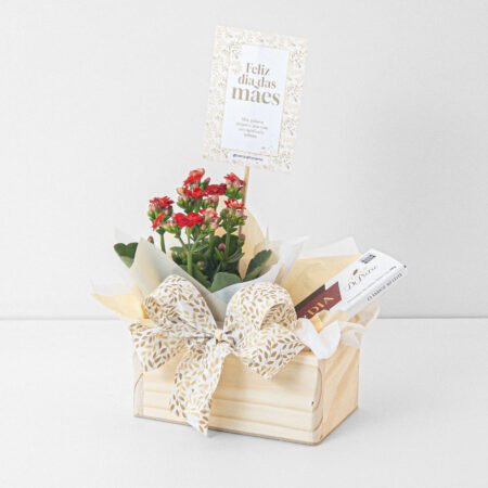 Mini Cesta kalanchoe P06 + Chocolate Pietro • Dia Das Mães 2026