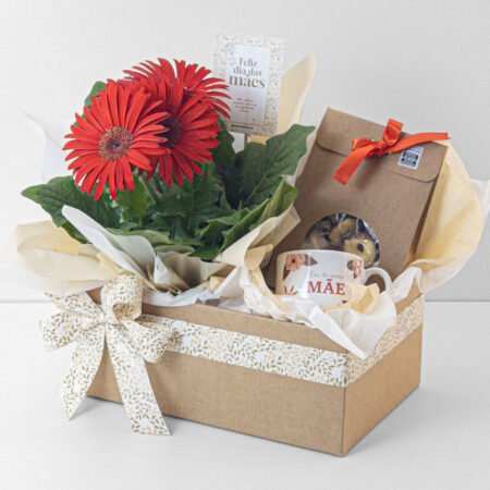 Cesta Gerbera P14 Vermelha + Biscoito Amanteigado + Caneca Especial • Dia Das Mães 2026