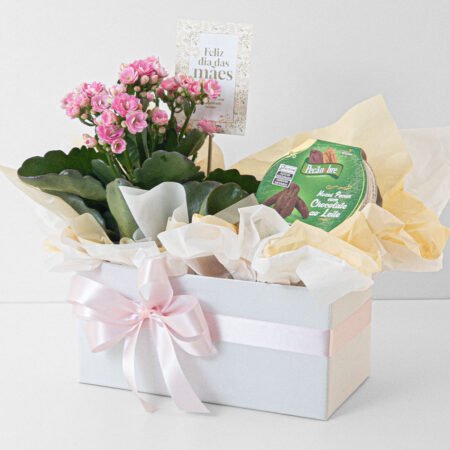 Cesta kalanchoe P11 Rosa + Nozes Pecan Chocolate Ao Leite • Dia Das Mães 2026
