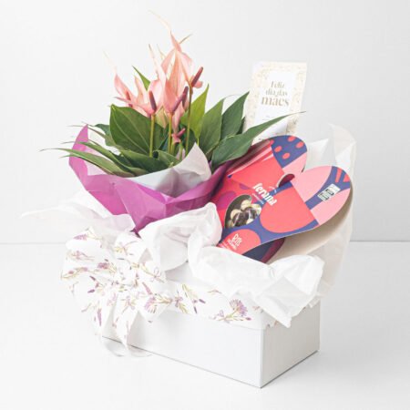 Cesta Antúrio P09 Rosa + Coração com Bits Crocantes Ferana • Dia Das Mães 2026
