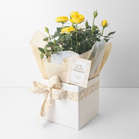 Mini Rosa P15 Amarela + Cachepô de Papel + Laço • Dia Das Mães 2026