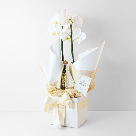 Box Orquidea P12 Phal + Imagem Nossa Senhora Gesso + Cachepô de Papel + Laço • Dia Das Mães 2026