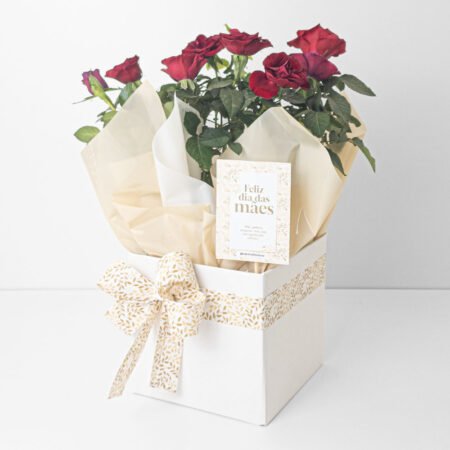 Mini Rosa P15 Vermelha + Cachepô de Papel + Laço • Dia Das Mães 2026