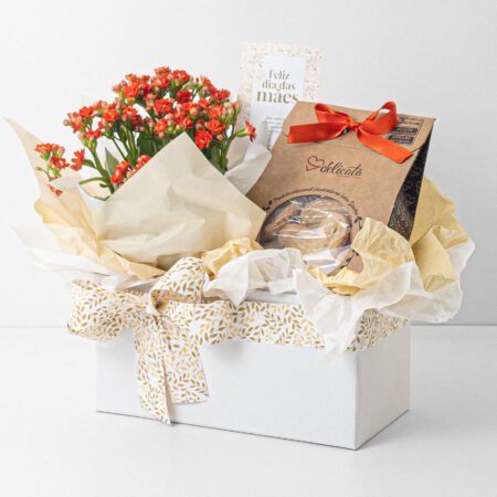 Cesta kalanchoe P11 Vermelho + Biscoito Folhado Suíço • Dia Das Mães 2026