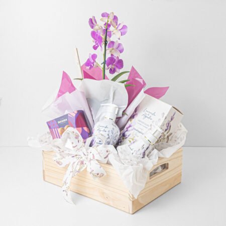 Cesta Orquídea P12 Dhenpal 1H + Hidratante + Sabonete + Chocolates • Dia Das Mães 2026