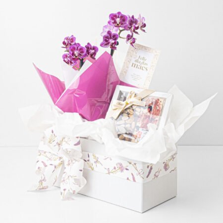 Cesta Orquídea P06 Phal + Tablete de chocolate Dueto Sublime • Dia Das Mães 2026