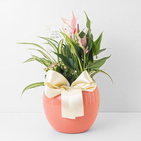 Composição Antúrio P09 Rosa + Kalanchoe P06 + Clorofito + Cachepô Cerâmico • Dia Das Mães 2026