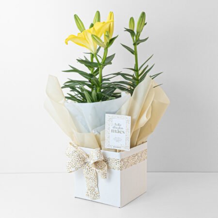Lirio P15 Amarelo + Cachepô de Papel + Laço • Dia Das Mães 2026