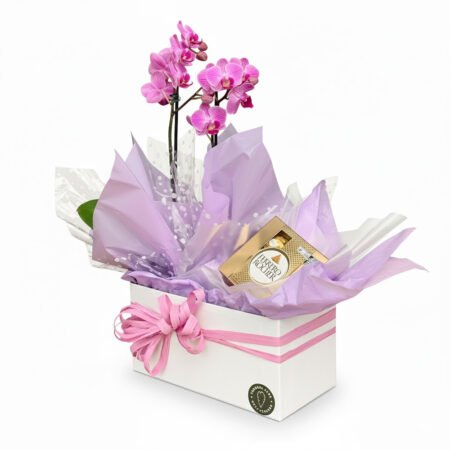 Cesta Orquidea 35cm + Ferrero Rocher Com 4 Unidades 50g