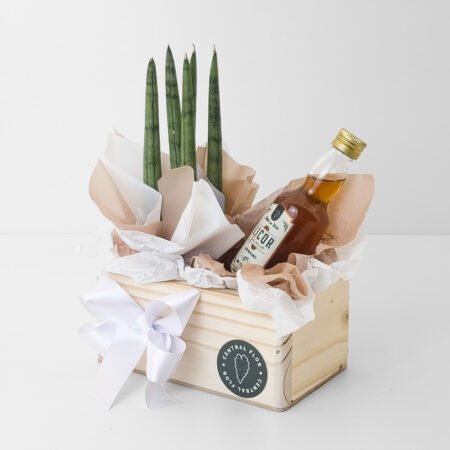 Cesta Muda Lança Reta P06 + Licor Fino de Canela 60ml Sabor da Terra