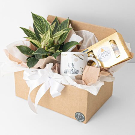 Cesta Filodendro P15 Birkin + Ferrero Rocher + Caneca Feliz Aniversário