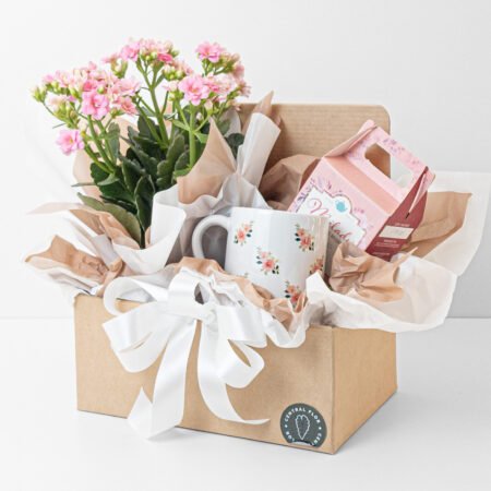 Cesta Kalanchoe P11 + Chá + Caneca 180ml Flores Rosas