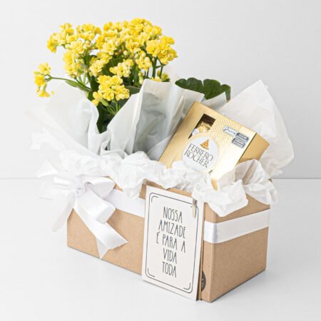 Cesta Kalanchoe P11 Amarela + Ferrero Rocher + Cartão Amizade
