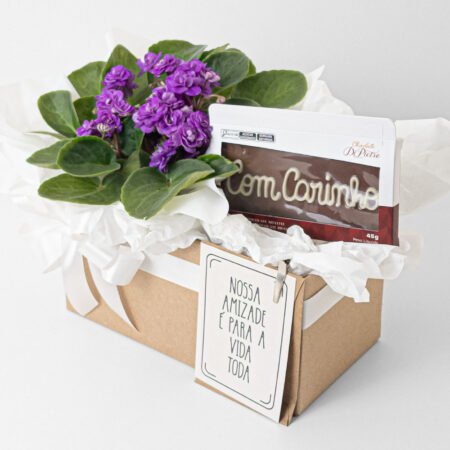 Cesta Violeta P11 Bordô + Tablete de Chocolate + Cartão Amizade