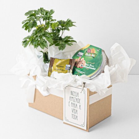 Cesta Arvore da Felicidade P11 Macho + Nozes Pecan Caramelizadas + Trufa + Cartão Amizade