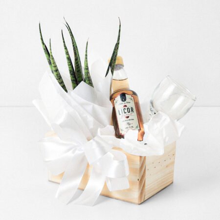 Cesta Sanseveria P06 Trançada Lança + Licor Fino de Jabuticaba + Taça Misket