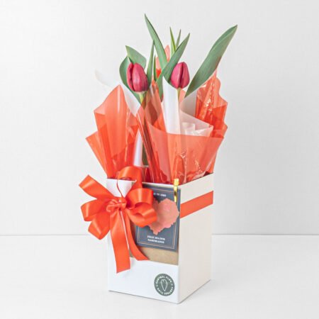 Tulipa P12 3 Bulbos + Cachepô de Papel + Laço + Cartão - Dia Dos Namorados 2026