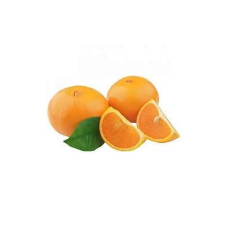 Muda Laranja Bahia Monte Parnaso (Umbigo)