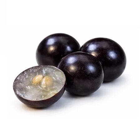 Muda Jabuticaba Hibrida