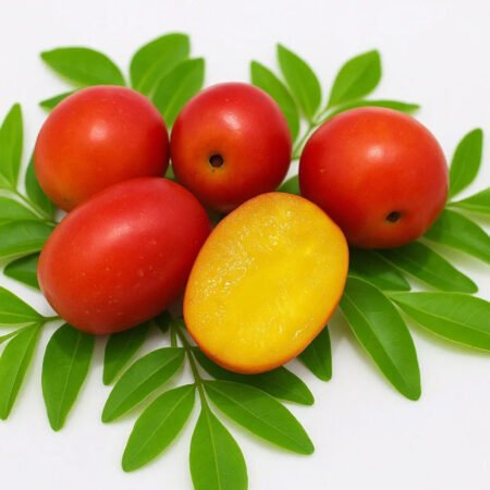 Muda Seriguela (Ciriguela Siriguela)