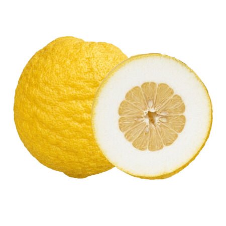 Muda Laranja Cidra