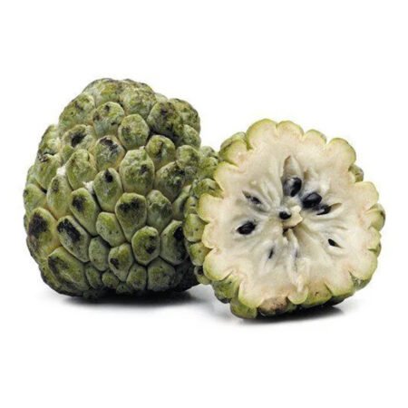 Muda Fruta Do Conde Anona