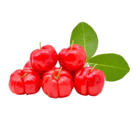 Muda Acerola