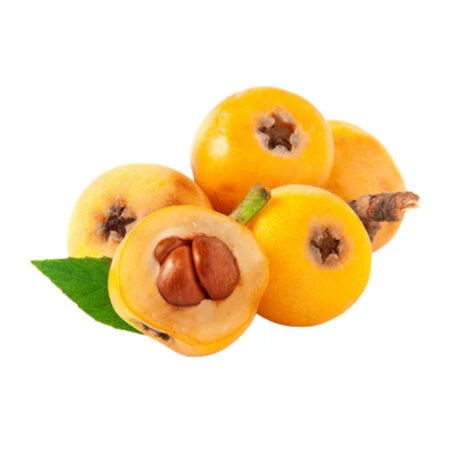 Muda Nespera Enxertada