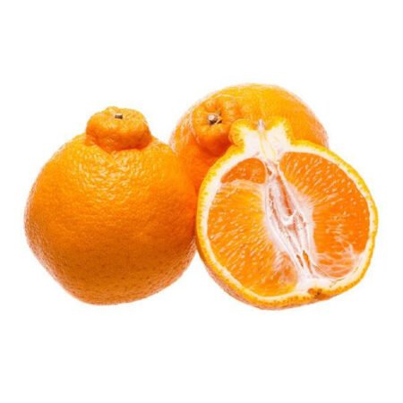 Muda Tangerina Dekopon