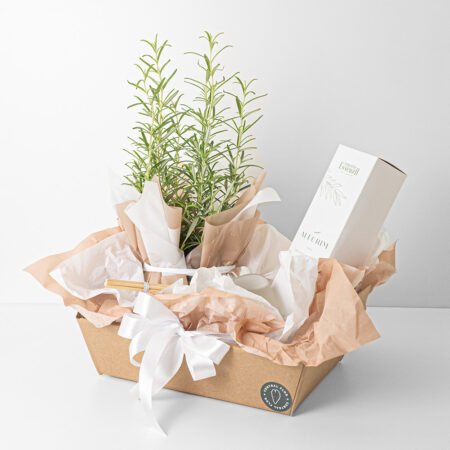 Cesta Alecrim P13 +  Difusor De Aromas Alecrim 130ml Essenza