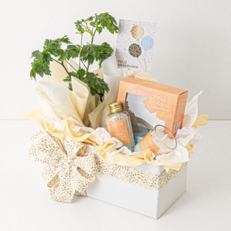 Cesta Muda Arvore da Felicidade P11 Macho + kit boas energias Essenza + Tag Aniversário