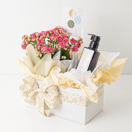 Cesta Muda Kalanchoe P11 Rosa + Hidratante Corporal Glam 200ml Mahogany + Tag Aniversário