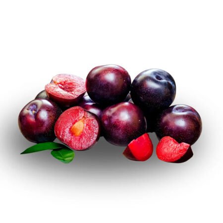 Muda Ameixa Pluma 7